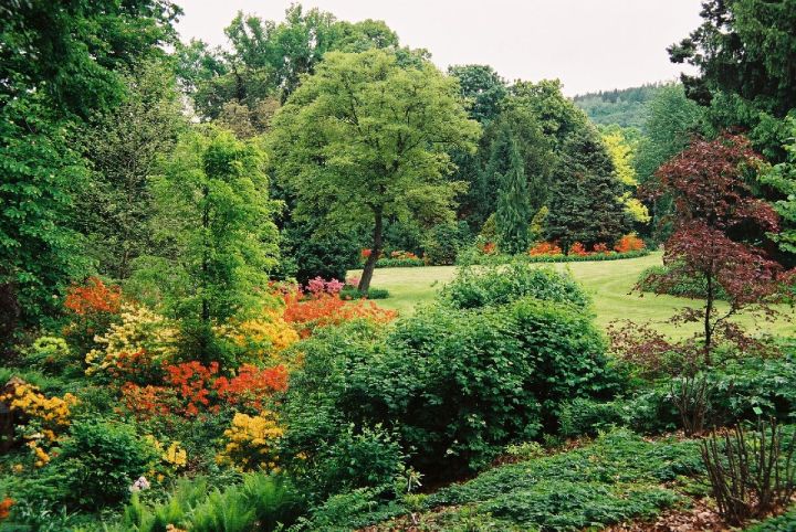 Wojsławice Arboretum